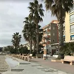 Sanbart Mare *