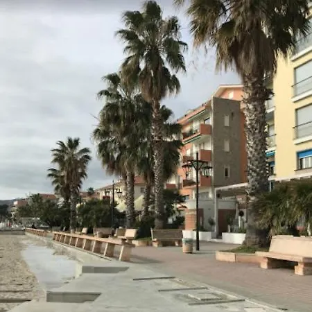 Sanbart Mare *