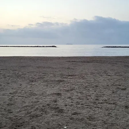 Sanbart Mare *
